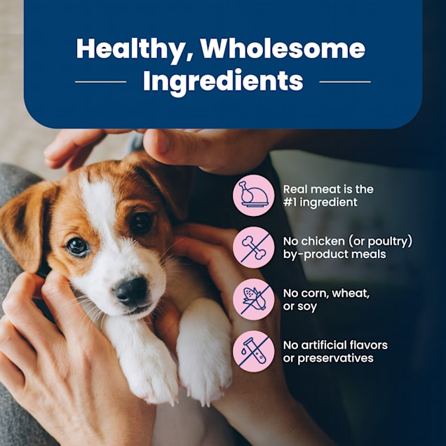 hi life dog treats