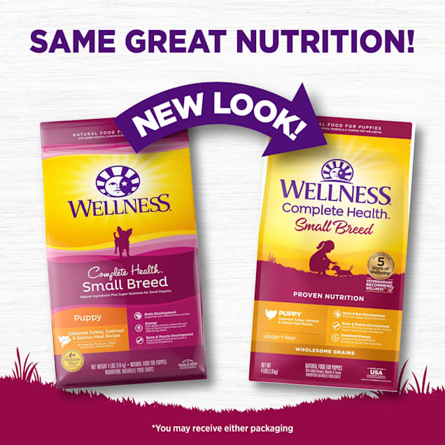 Wellness Complete Health Turkey Salmon Oatmeal Natural Small