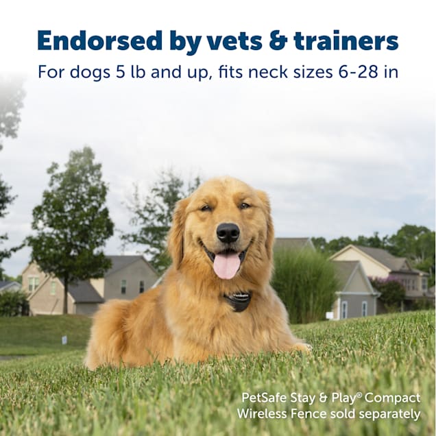 Wireless dog fence online with rechargeable collar