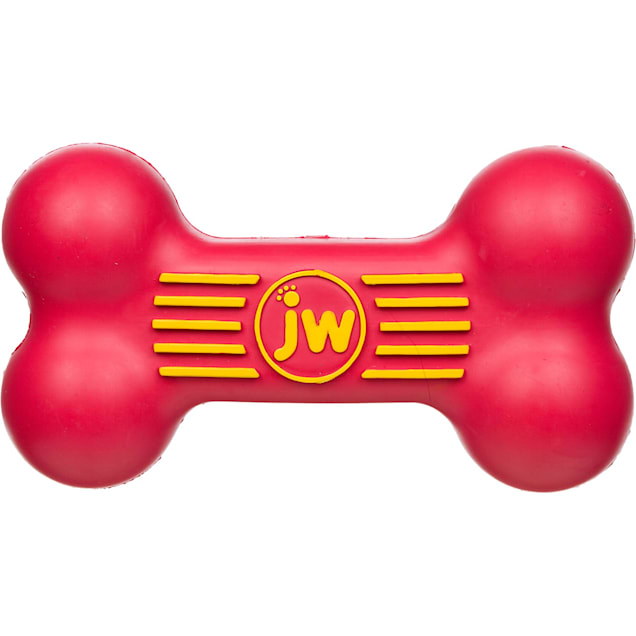 JW Pet iSqueak Bone Dog Toy