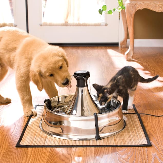 PetSafe Drinkwell 360 Stainless Steel Multi-Pet Dog and Cat Water Fountain,  128 oz. | Petco
