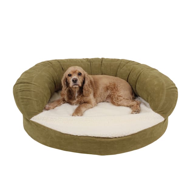 Dog bed company deals