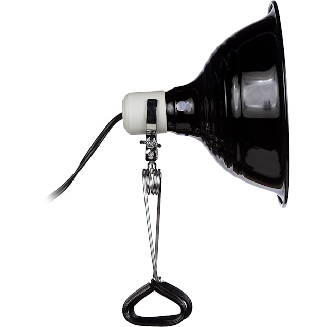 Flukers deluxe clamp lamp setup cheap