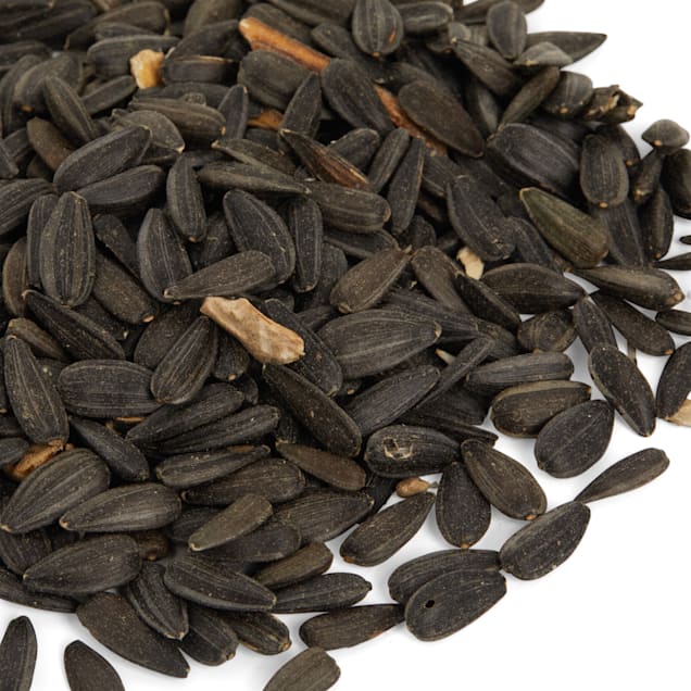 Petco Black Oil Sunflower Seed Wild Bird Food, 30 lb Bag Petco