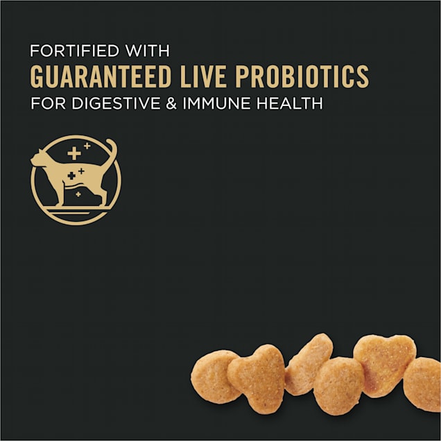 Petco purina pro plan sensitive skin and stomach sale