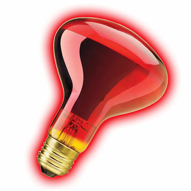 Red spot light bulbs deals