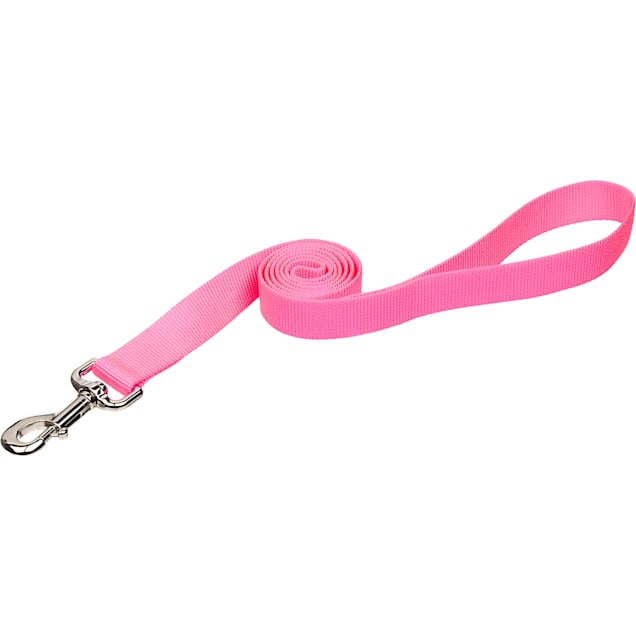 Coastal Pet Nylon Personalized Dog Leash in Neon Pink, 4' L X 1" W - Carousel image #1