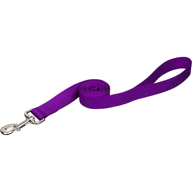 Coastal Pet Personalized Purple Single-Ply Dog Leash, X-Small - Carousel image #1