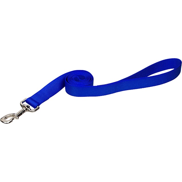 Coastal Pet Nylon Personalized Dog Leash in Blue, 4' L X 1" W - Carousel image #1