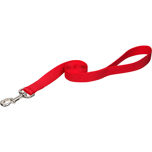 Coastal Pet Personalized Red Single-Ply Dog Leash, X-Small - Carousel image #1