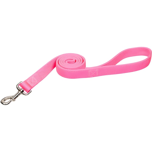 Petco double leash shop