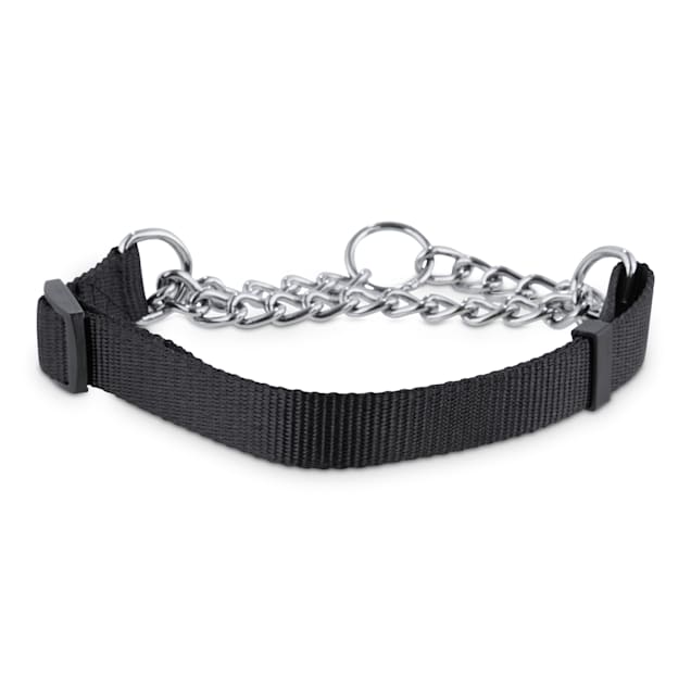 Petco chain collar 2025