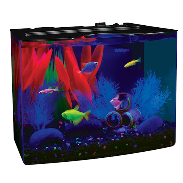 GloFish Crescent Hidden Blue LED Light and Internal Filter Aquarium Kit 3 Gallons, 13" L X 7" W X 12" H - Carousel image #1