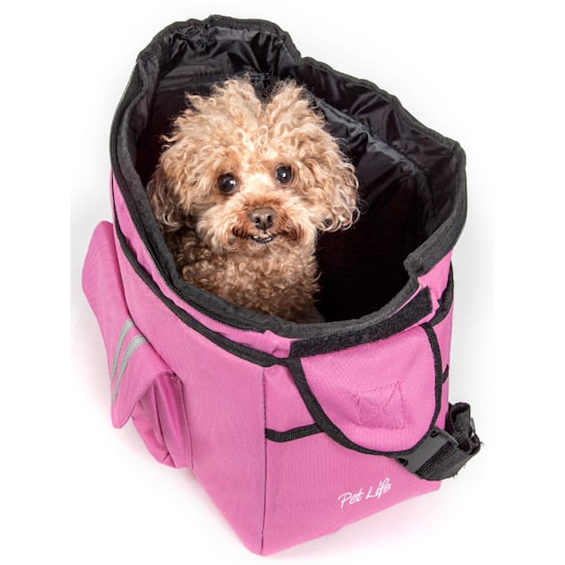 Dog purse petco top