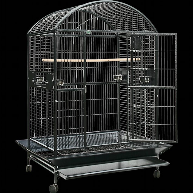 A&E Cage Company 2620 Victorian Open Top Bird Cage in Platinum, 26 L X 20  W X 65 H