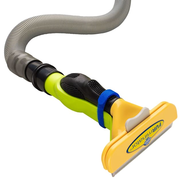 Vacuum with dog brush attachment clearance