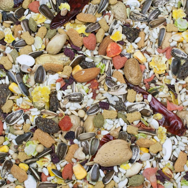 Higgins hotsell bird food