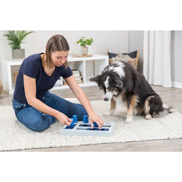 Trixie activity online