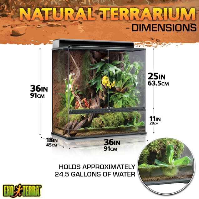 Exo terra 36 x 18 x 36 glass terrarium sales