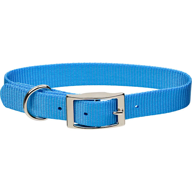 Vibrant Life Solid Nylon Dog Collar with Metal Buckle, Blue