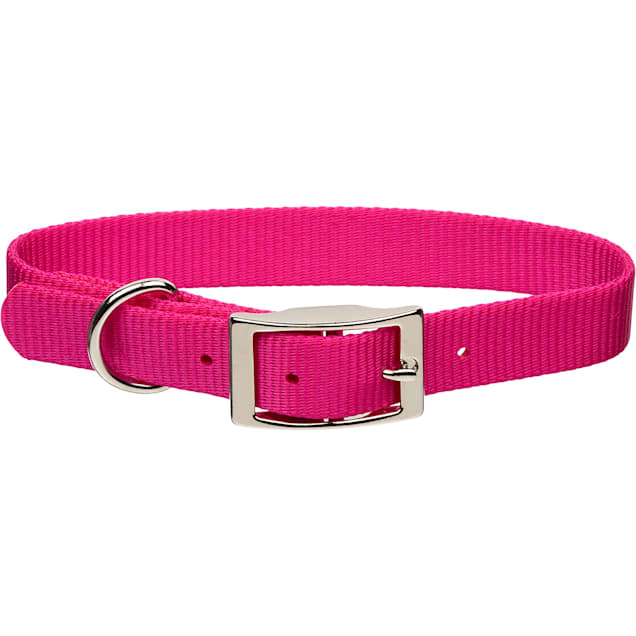 Coastal Pet Metal Buckle Nylon Personalized Dog Collar in Red, 3/4