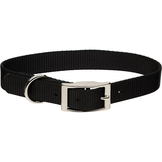 Nylon Dog Collars with Metal Buckle – GoTags