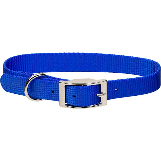 Coastal Pet Single Ply Jewel Tone Personalized Dog Collar Blue Medium 5 8 x 14 16 Petco