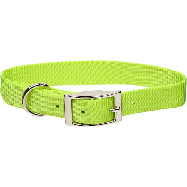 Green Geometric Designer Dog Collar 'YOGI' (5/8 and 3/4 ONLY)