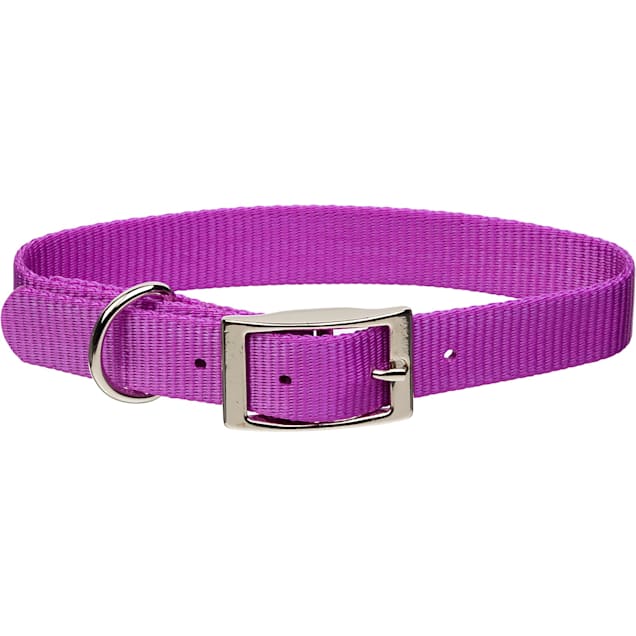 Coastal pet products personalized leather dog collar best sale