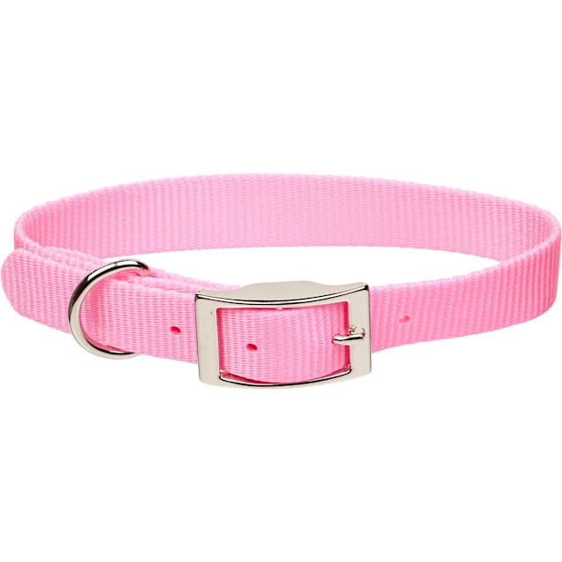 Coastal Pet Metal Buckle Nylon Personalized Dog Collar in Bright Pink, 3/8" Width - Carousel image #1