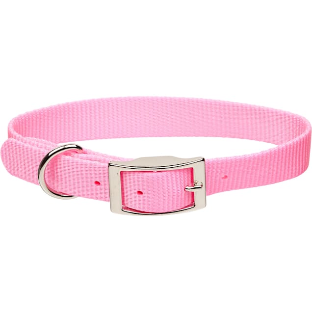 Coastal Pet Products Personalized Pink Bright Single Ply Dog