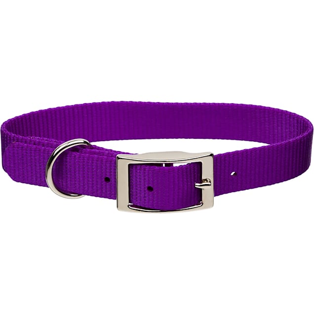 Coastal Pet Metal Buckle Nylon Personalized Dog Collar in Purple, 5/8" Width - Carousel image #1