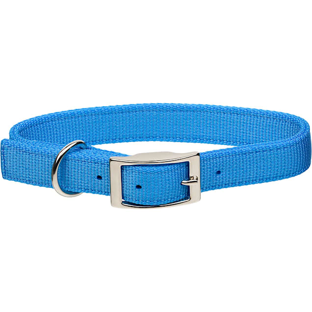 Light blue 2025 dog collar