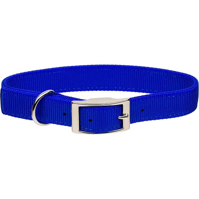 Coastal pet collars hotsell