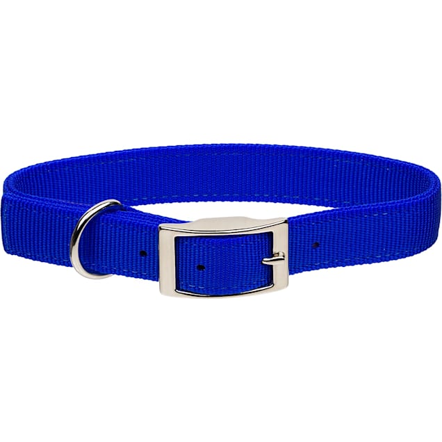 Royal Blue Nylon Webbing Collar with Choice of Buckle