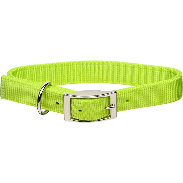 Petco personalized dog collars Clearance