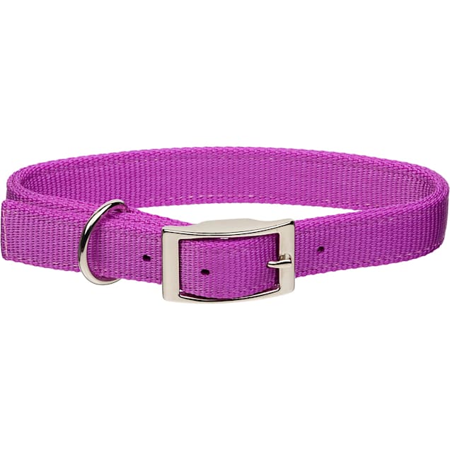 Coastal Pet Metal Buckle Double Ply Nylon Personalized Dog Collar in Orchid, 1" Width - Carousel image #1