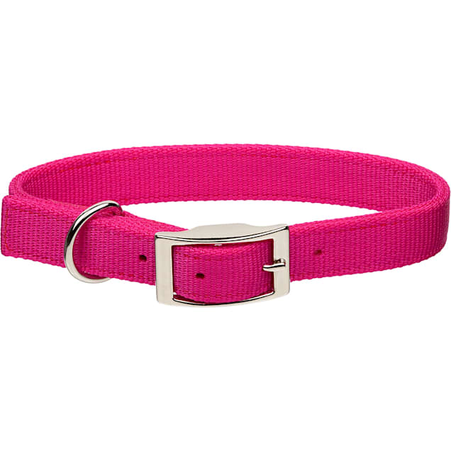 Large pink dog collar outlet