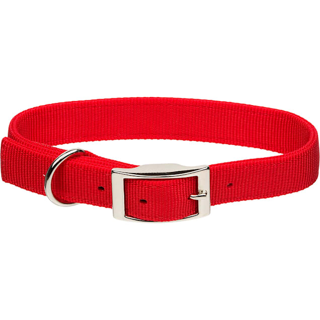 Coastal Pet Products Styles Adjustable Dog Collar Medium Red Bones