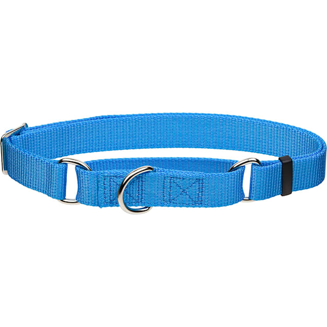 Radiance Blue Uptown Dog Collar