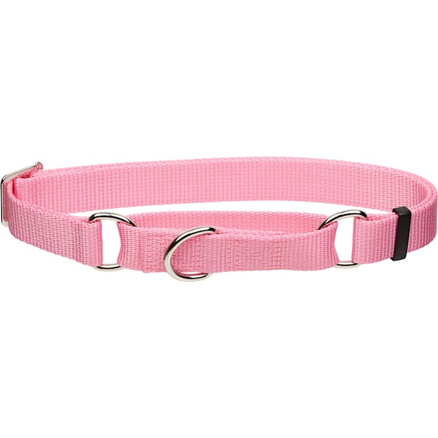 Slip 2025 collar petco
