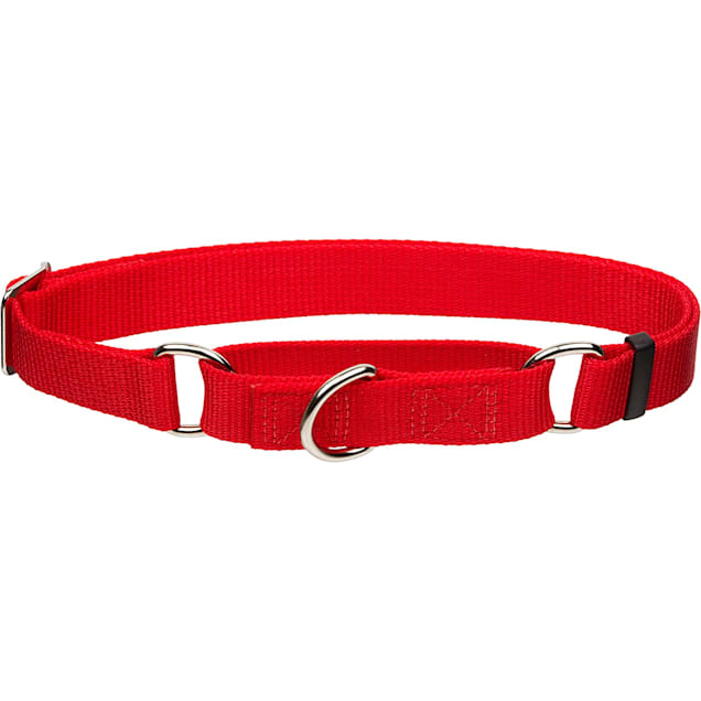 Coastal Pet Products No! Slip Personalized Martingale Red Adjustable Dog Collar, Large - Carousel image #1