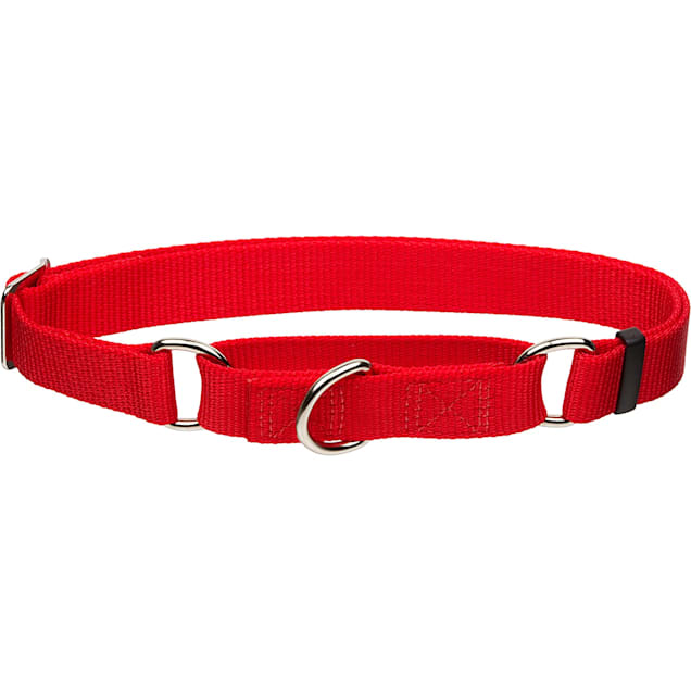 Large red 2025 dog collar
