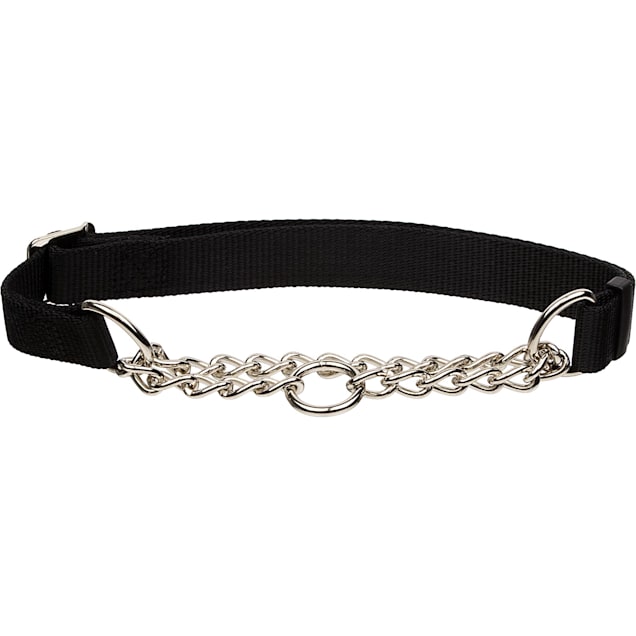 Petco dog training collar store