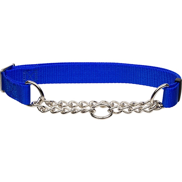 Dog shock collar petco top