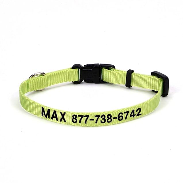 Coastal Pet Nylon Adjustable Personalized Dog Collar in Lime 3 8 Width Small