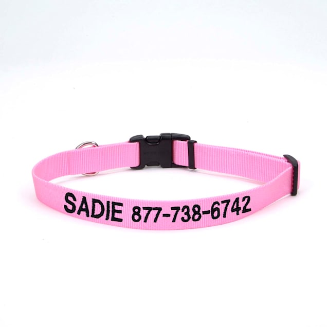 Coastal Pet Products Personalized Pink Bright Adjustable Dog Collar with Plastic Buckle Medium
