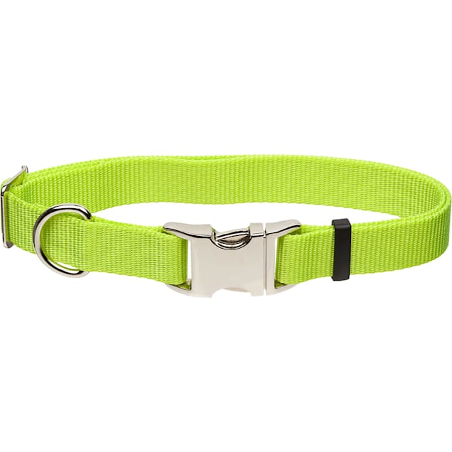 Coastal Pet Products Personalized Lime Adjustable Dog Collar with Metal Buckle Large