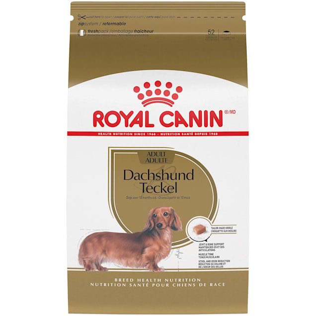 Royal Canin Breed Health Nutrition Dachshund Adult Dry Dog Food