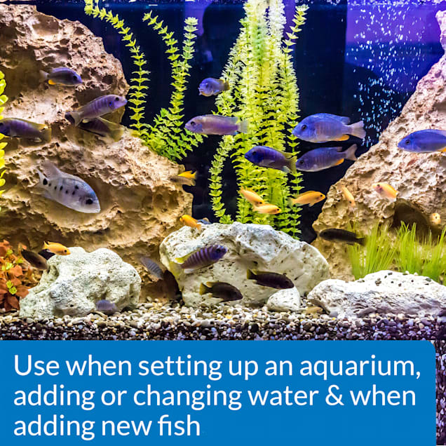 Petco fish tank sale 2019 top